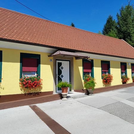 Hotel Pri Belokranjcu Novo Mesto Zewnętrze zdjęcie