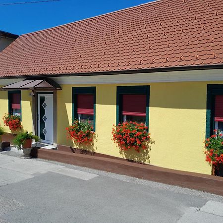 Hotel Pri Belokranjcu Novo Mesto Zewnętrze zdjęcie